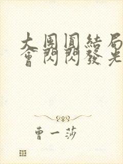大团圆结局亲情会闪闪发光封面