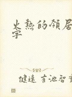 火热的领居中文字