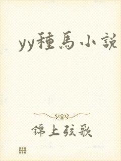 yy种马小说封面
