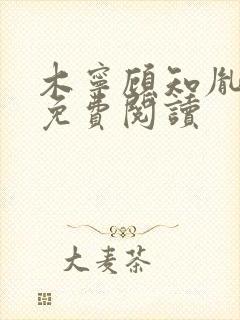 木宁顾知胤小说免费阅读封面