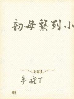 韵母系列小说