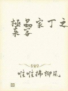 极品家丁之远方来客