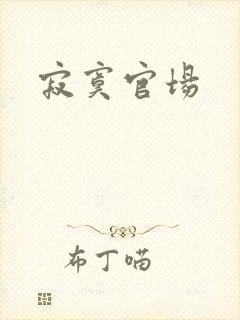 寂寞官场