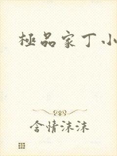 极品家丁小说