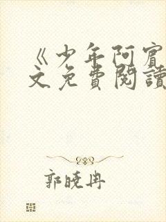 《少年阿宾》全文免费阅读封面