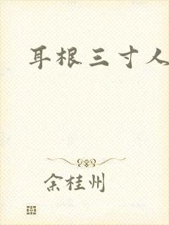 耳根三寸人间封面
