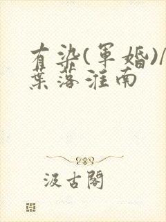 有染(军婚)/叶落淮南