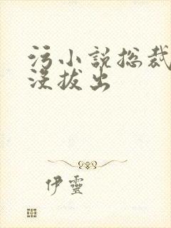 污小说总裁整夜没拔出