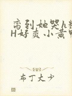 脔到她哭h粗话H好爽小黄鸭视频