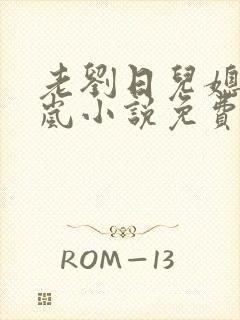 老刘日儿媳妇张岚小说免费阅读