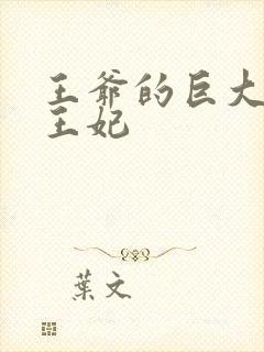 王爷的巨大进入王妃封面