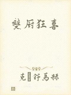双厨狂喜封面