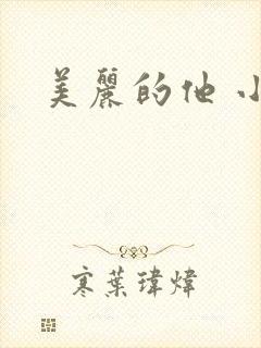 美丽的他 小说封面