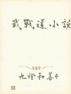 武战道小说
