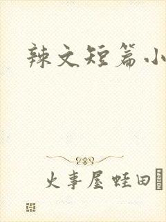 辣文短篇小说