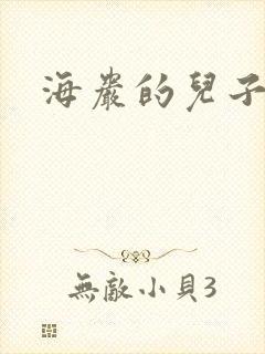 海岩的儿子