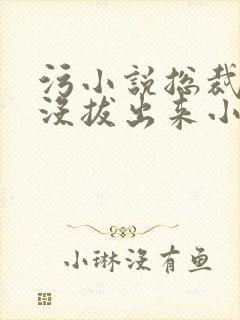 污小说总裁整夜没拔出来小说在线阅读