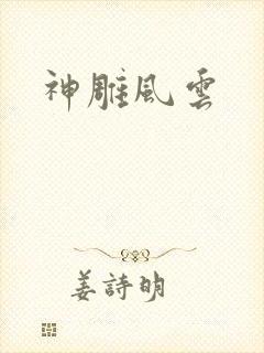 神雕风云封面