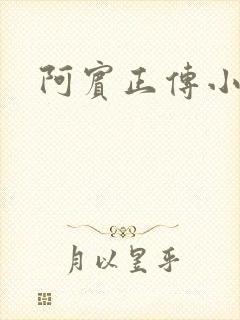 阿宾正传小说