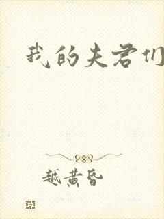 我的夫君们封面