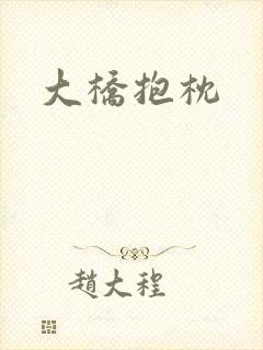 大桥抱枕