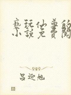 亵玩仙尊的道侣小说免费阅读