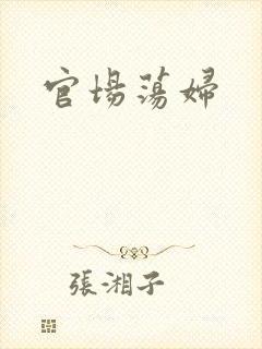 官场荡妇封面