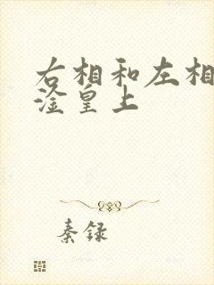 右相和左相一起淦皇上