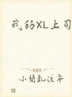 我的XL上司封面