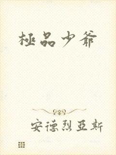 极品少爷
