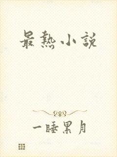 最热小说
