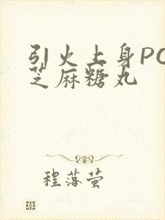 引火上身POP芝麻糖丸