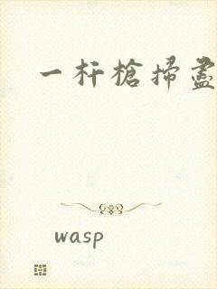 一杆枪扫尽全家