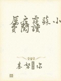 厉夜霆苏小汐免费阅读