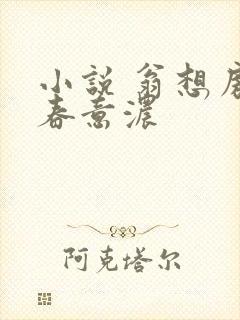小说 翁想房中春意浓