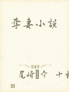 夺妻小说