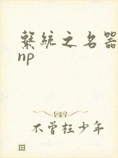 系统之名器攻略np