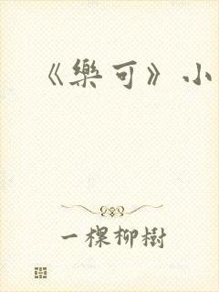 《乐可》小说封面