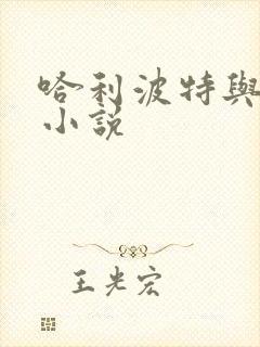 哈利波特与密室小说