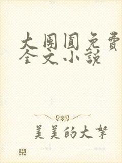 大团圆免费阅读全文小说