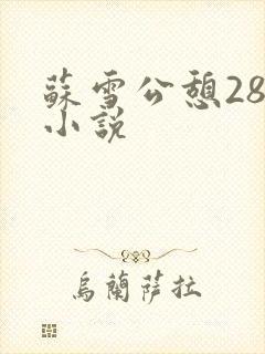 苏雪公憩28篇小说