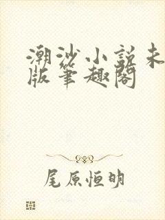 潮沙小说未删减版笔趣阁封面