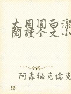 大团圆白洁免费阅读全文小说