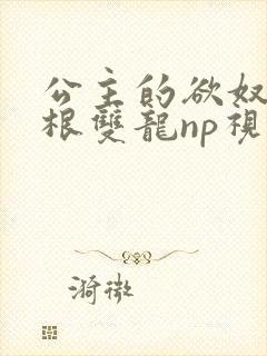 公主的欲奴h四根双龙np视频
