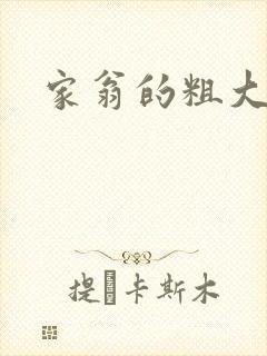 家翁的粗大封面