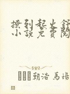 撩到起火舒漾的小说免费阅读全文