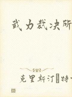 武力裁决所