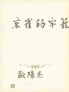哀雀的牢笼封面