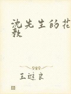 沈先生的花式管教