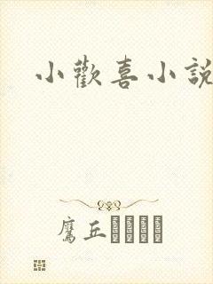 小欢喜小说